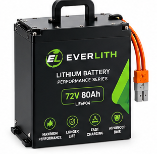 Everlith Performance Scooty Battery