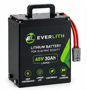 Everlith Electric Scooty Battery 48V