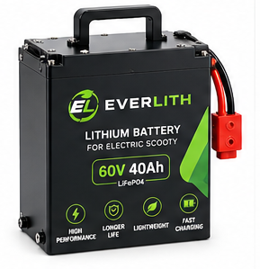 Everlith Electric Scooty Battery 60V