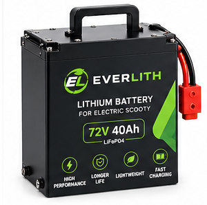 Everlith Electric Scooty Battery 72V